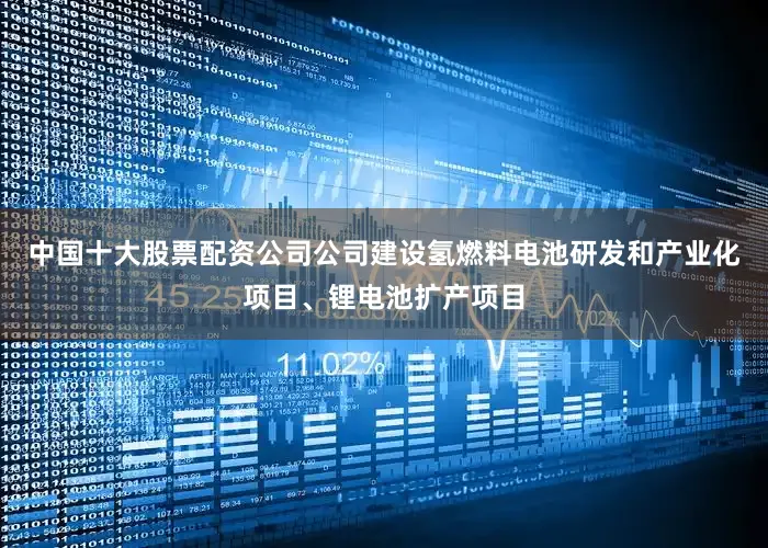 中国十大股票配资公司公司建设氢燃料电池研发和产业化项目、锂电池扩产项目