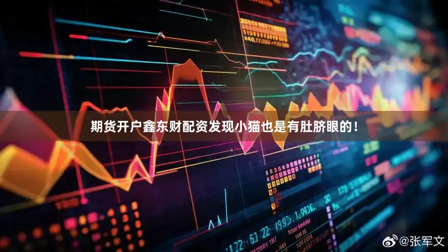 期货开户鑫东财配资发现小猫也是有肚脐眼的！