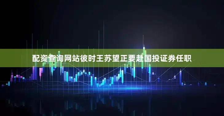 配资查询网站彼时王苏望正要赴国投证券任职