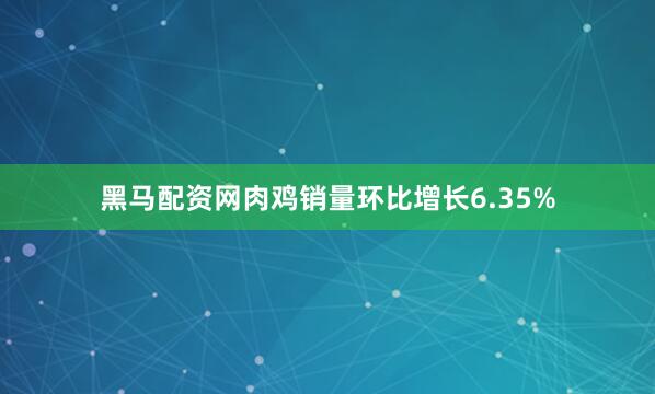 黑马配资网肉鸡销量环比增长6.35%